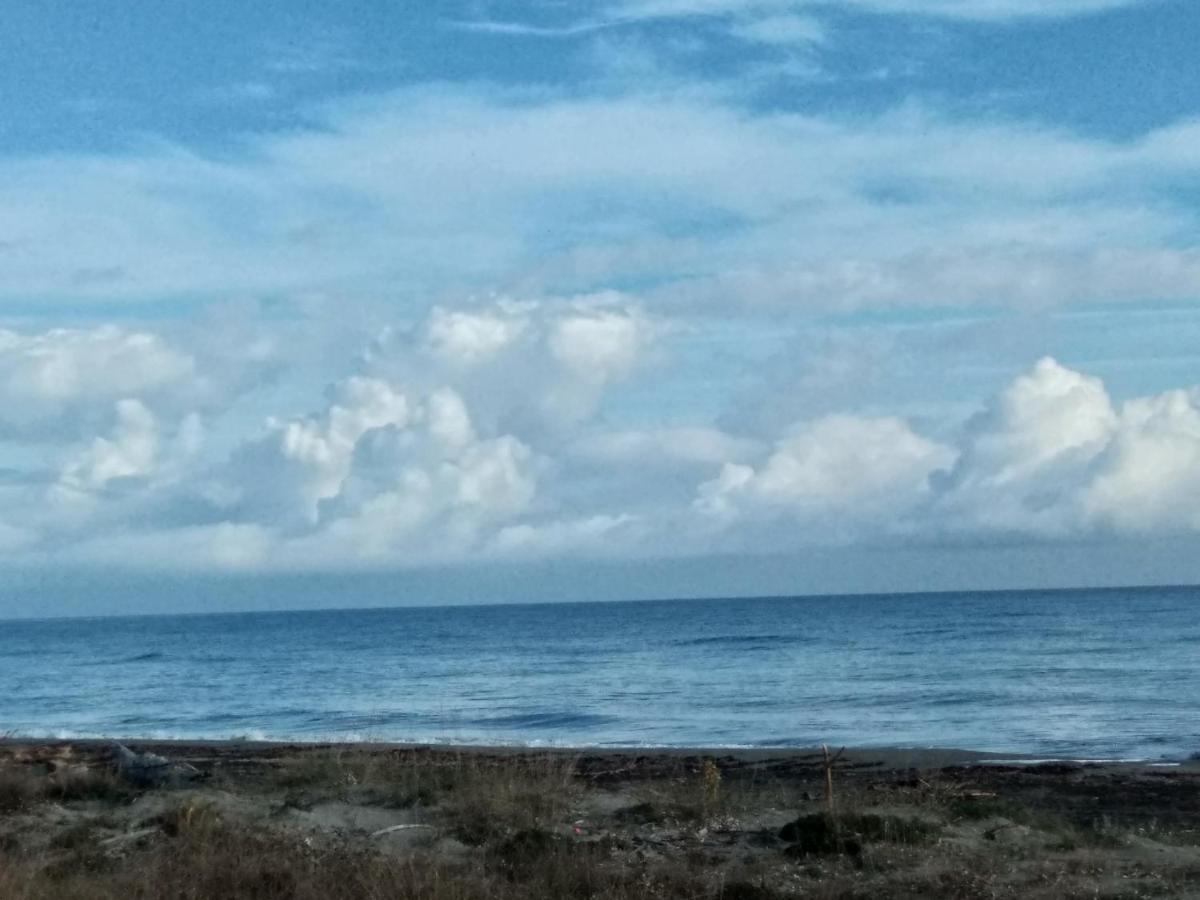 Un Nid Douillet En Bord De Plage !! Lucciana  Luaran gambar