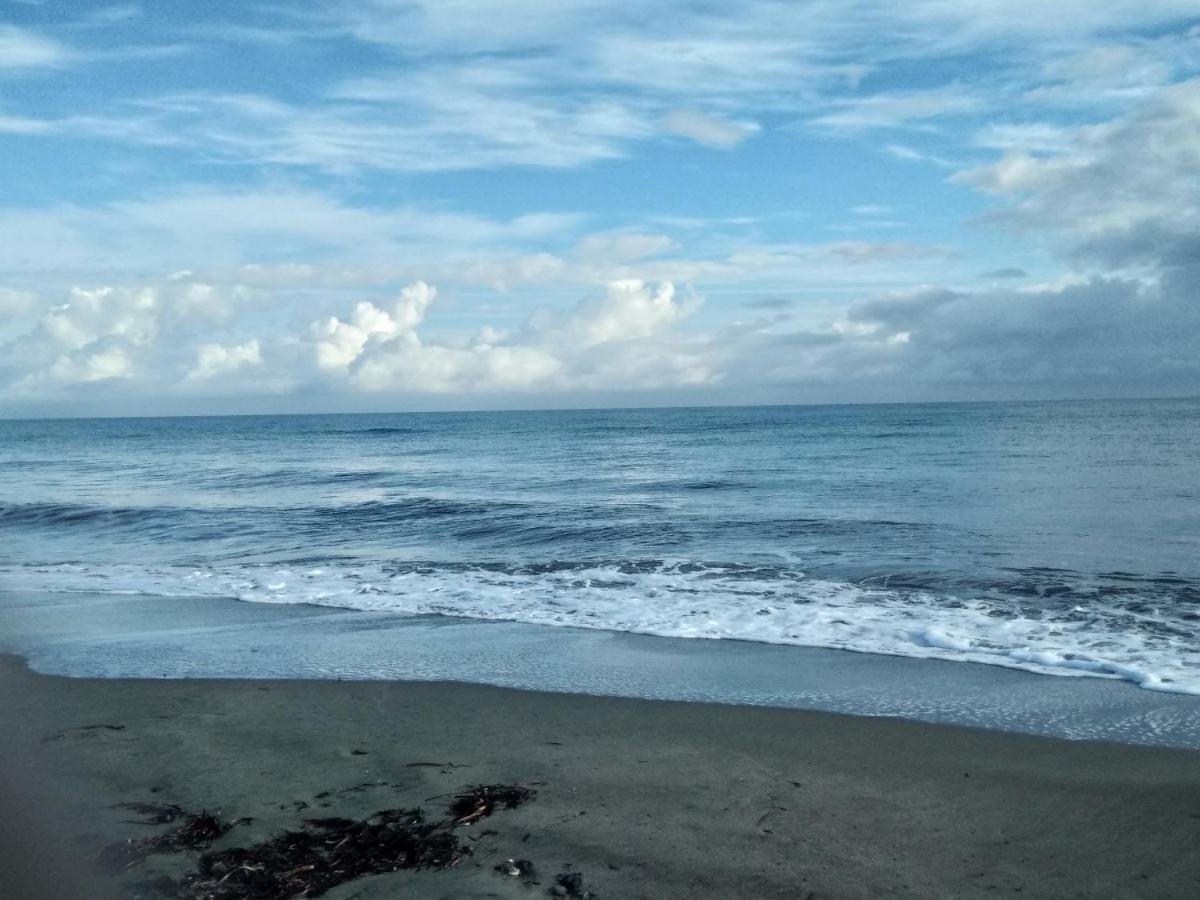 Un Nid Douillet En Bord De Plage !! Lucciana  Luaran gambar