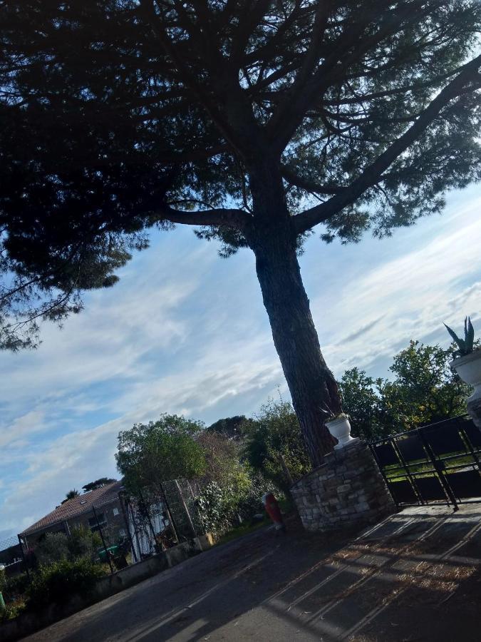 Un Nid Douillet En Bord De Plage !! Lucciana  Luaran gambar