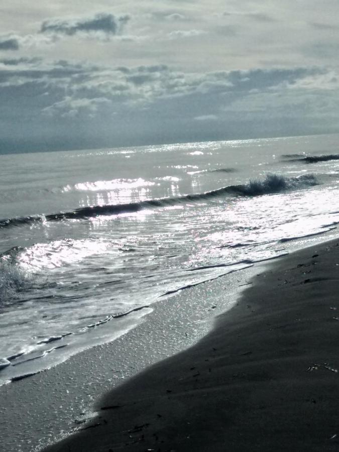 Un Nid Douillet En Bord De Plage !! Lucciana  Luaran gambar